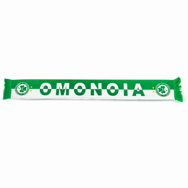 Silk Scarf "OMONOIA" - Image 2