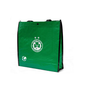Recyclable Bag (Green)