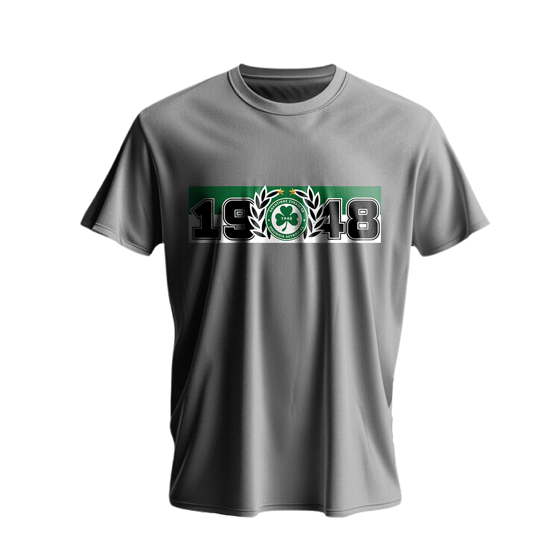 T-shirt 1948 Logo GRAY- Kids