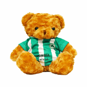 TEDDY Αρκουδάκι Καφέ ΟΜΟΝΟΙΑ ΑΙΩΝΙΑ ριγέ 45cm