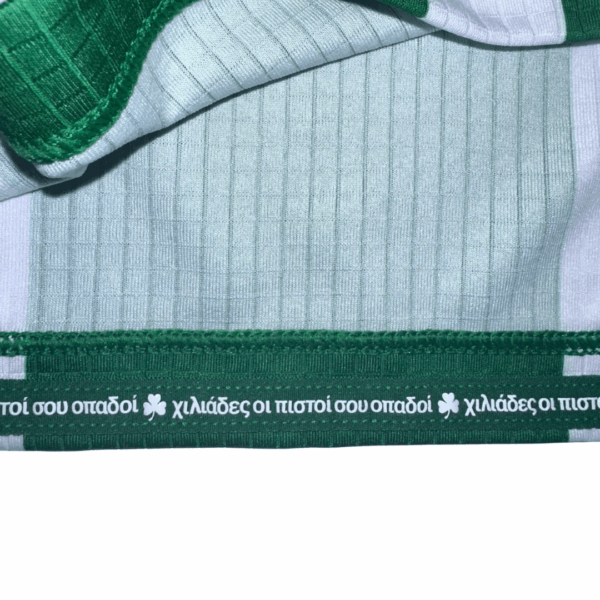 25/26 Official Shirt Stripes GRN/WHT - Men - Image 6