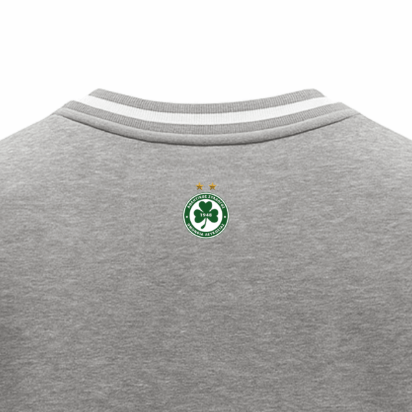 College Jumper 1948 GRAY - Image 3