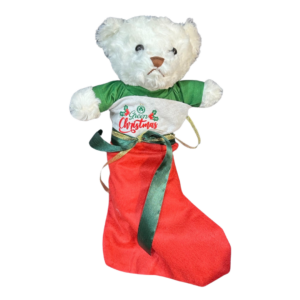 TEDDY Αρκουδάκι Άσπρο ΟΜΟΝΟΙΑ 1948 πράσινο 35cm