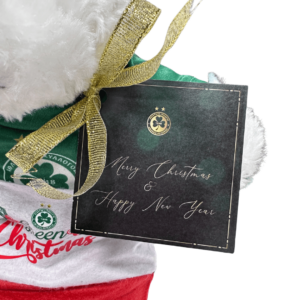 TEDDY Αρκουδάκι Άσπρο ΟΜΟΝΟΙΑ 1948 πράσινο 35cm